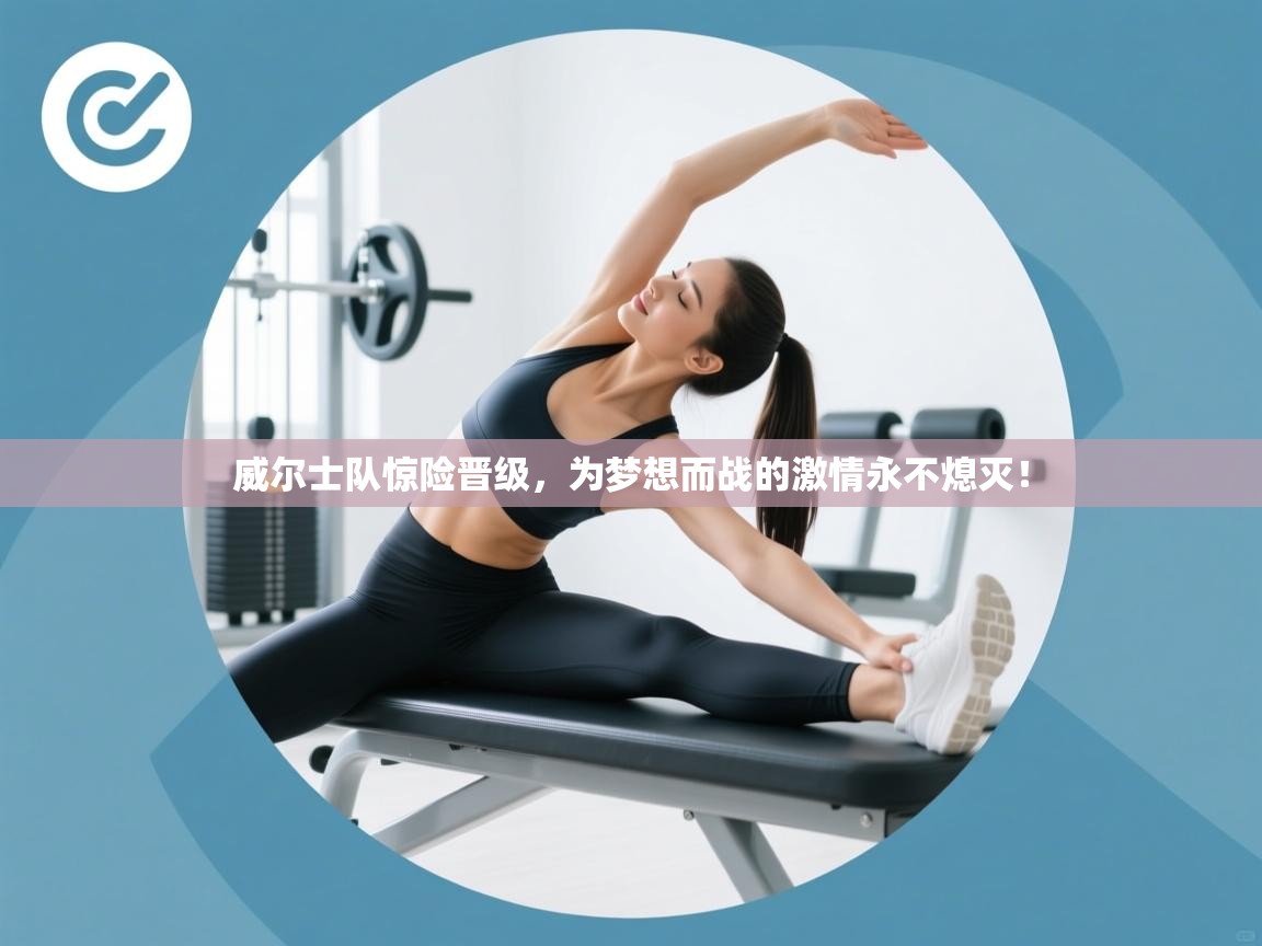 威尔士队惊险晋级，为梦想而战的激情永不熄灭！  第1张